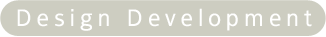 Design Development