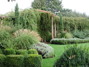 Trellis in autumn