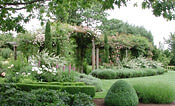 Trellis in the summer