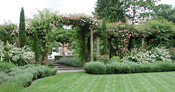 Trellis in summer with lawn