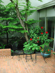 Atrium